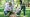 young-volunteers-planting-trees-in-green-park-together.jpg